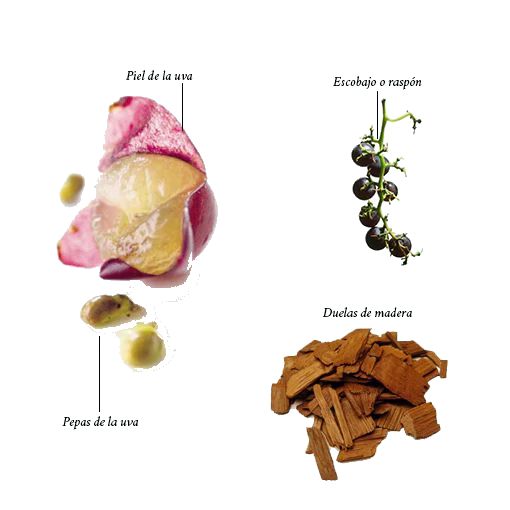 taninos del vino