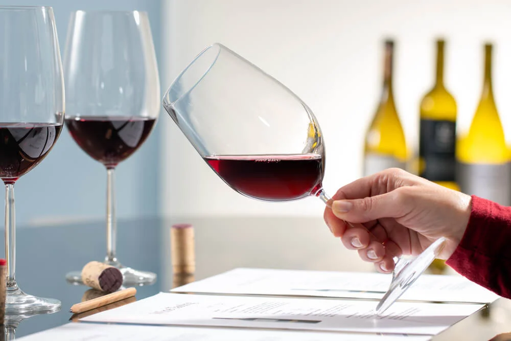 cata de vinos