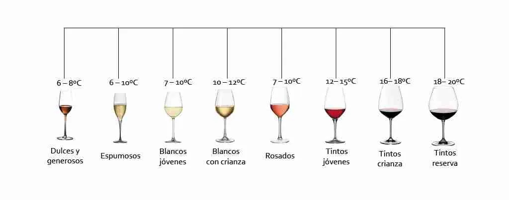 temperatura del vino