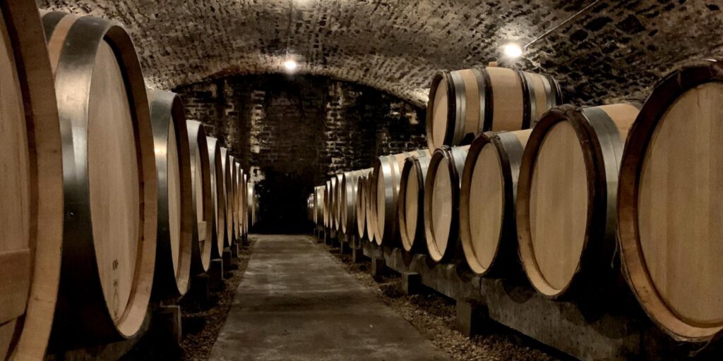 bodegas vino
